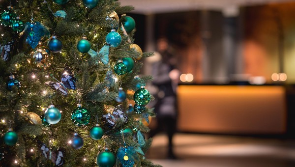 Eerste en Tweede Kerstdag wat te doen? Activiteiten en uitjes met kinderen - Reisliefde Eerste en Tweede Kerstdag wat te doen? Activiteiten en uitjes met kinderen - Reisliefde